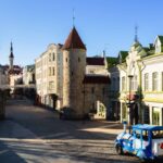 Contact Person - Estonia